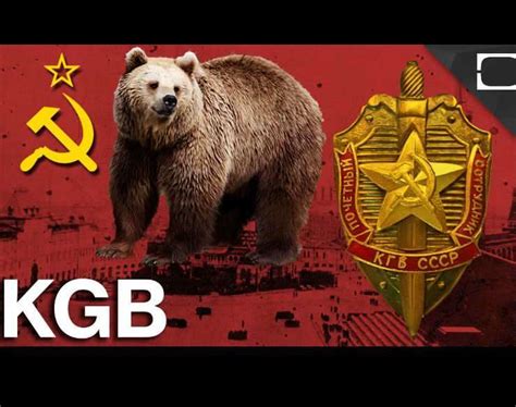 Kgb Bears Review 2024